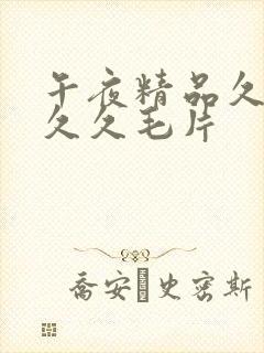 午夜精品久久久久久毛片