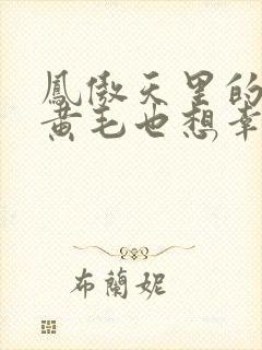 凤傲天里的反派黄毛也想幸福