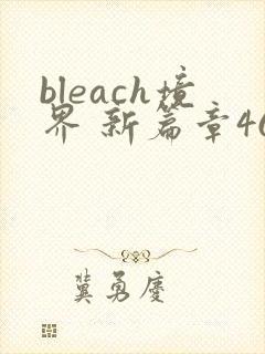 bleach境界 新篇章46集免费观看封面