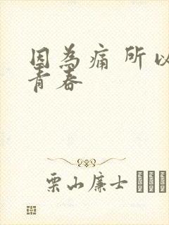 因为痛 所以叫青春