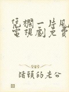 凭栏一片风云起电视剧免费观看