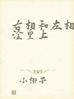 右相和左相一起淦皇上
