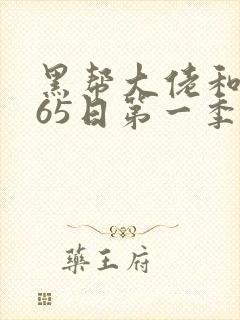 黑帮大佬和我365日第一季封面