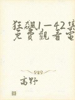 狂飙1—42集免费观看电视剧在线封面