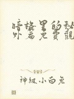 暗格里的秘密番外篇免费观看