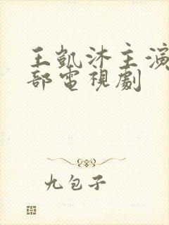 王凯沐主演的全部电视剧