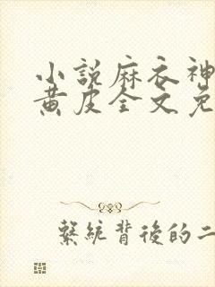 小说麻衣神婿陈黄皮全文免费阅读