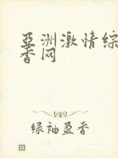 亚洲激情综合丁香网