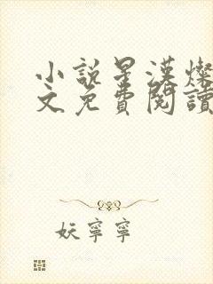 小说星汉灿烂全文免费阅读