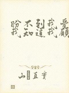 盼不到我爱的人我知道我愿意再等封面