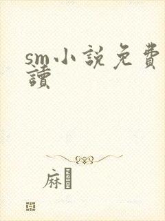 sm小说免费阅读