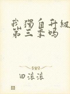 我独自升级会有第三季吗