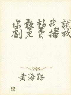 你敢动我试试短剧免费播放