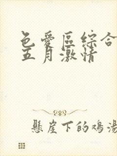 色爱区综合激情五月激情