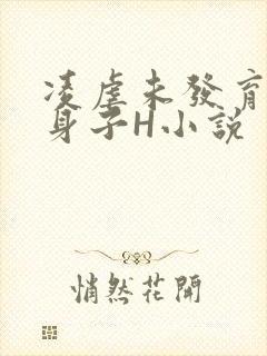 凌虐未发育的小身子H小说