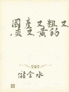 国产又粗又猛又,爽又黄的封面