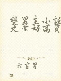 双男主小说推荐文笔好高质量完结