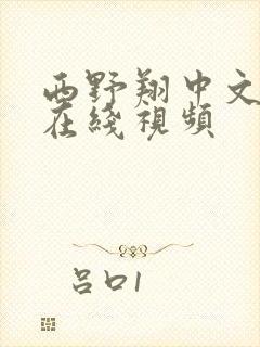 西野翔中文字幕在线视频