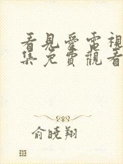 看见爱电视剧全集免费观看完整版封面