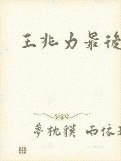 王兆力最后结局