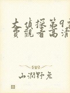 大侦探第9季免费观看高清完整版