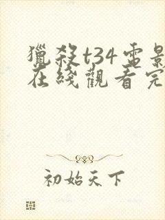 猎杀t34电影在线观看完整版免费