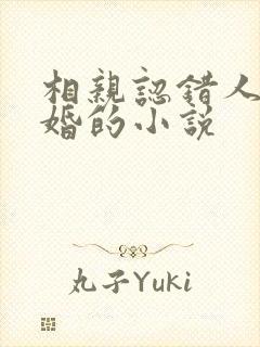 相亲认错人后闪婚的小说