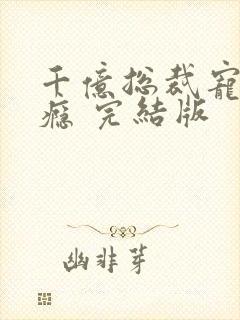 千亿总裁宠妻上瘾 完结版