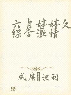 六月婷婷久久久综合激情