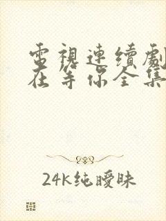 电视连续剧妈妈在等你全集