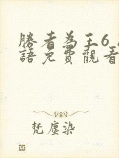 胜者为王6 国语免费观看封面