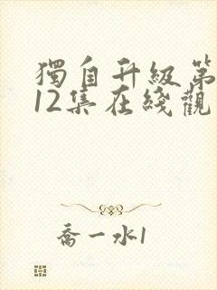 独自升级第二季12集在线观看