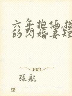 六年抱俩,总裁的闪婚妻短剧