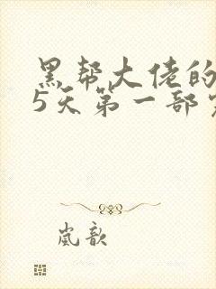 黑帮大佬的365天第一部完整版中