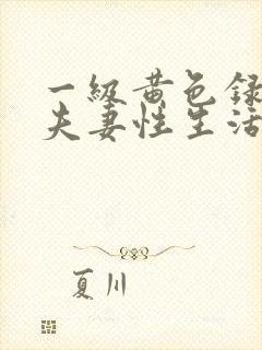 一级黄色录像片夫妻性生活片