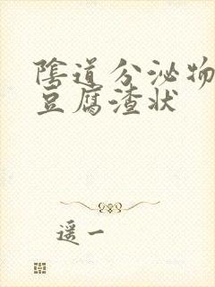 阴道分泌物黄色豆腐渣状