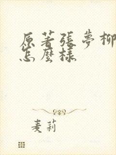 原著张梦柳结局怎么样