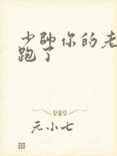 少帅你的老婆有跑了