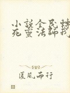 小说全民转职:死灵法师我即是天灾在线观看封面