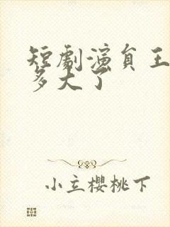 短剧演员王艺阳多大了