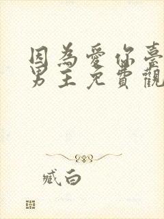 因为爱你台剧双男主免费观看