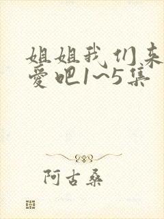 姐姐我们来谈恋爱吧1~5集