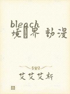 bleach 境·界 动漫
