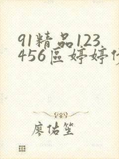 91精品123456区婷婷伊人久久