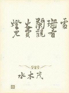 灯火阑珊处短剧免费观看