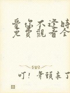 爱你不逢时短剧免费观看全集在线播放