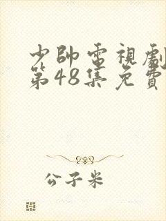 少帅电视剧全集第48集免费