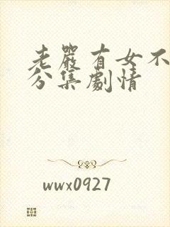 老严有女不愁嫁分集剧情