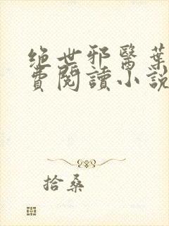 绝世邪医叶凡免费阅读小说封面