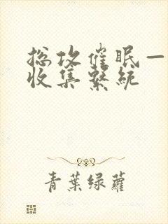 总攻催眠—情欲收集系统